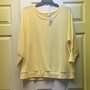 NWT Cato top